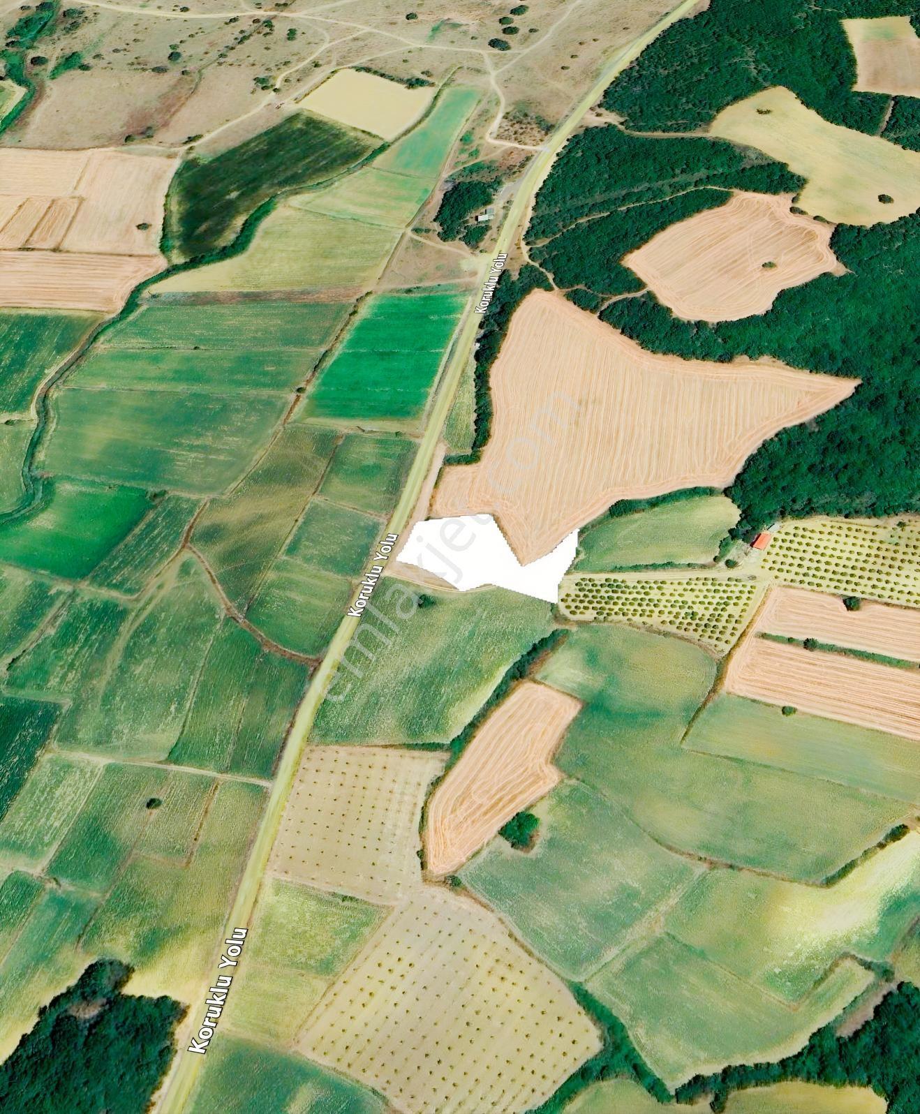 Arsambenim'den Erikli Plajına 5 Dk-asfalt Cepheli 3.832 M2 Tarla — fotoğraf 12
