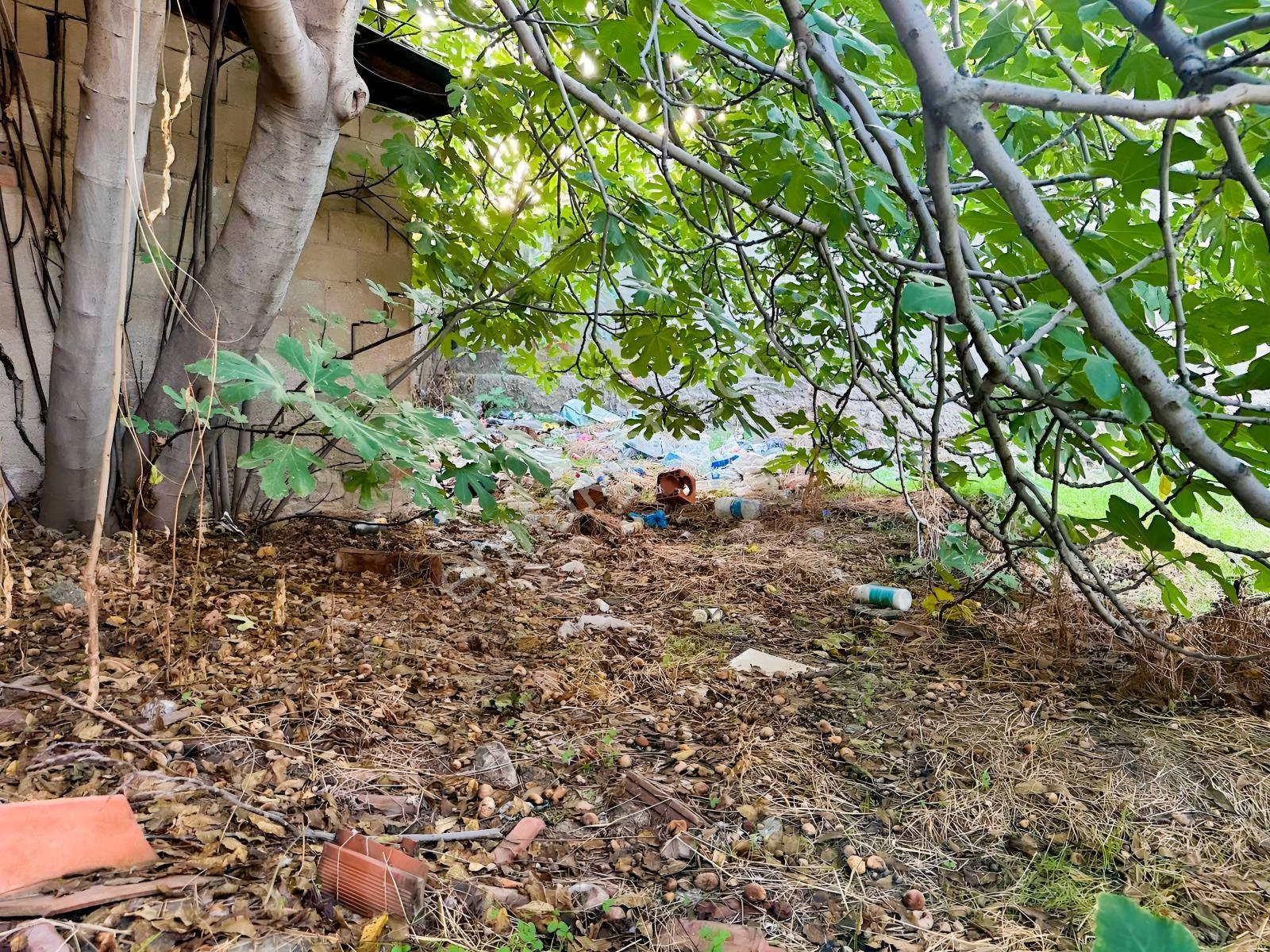 Alaşehir Beşeylül Mahallesinde 3 Kat İmarlı, Yatırımlık Arsa! — fotoğraf 17