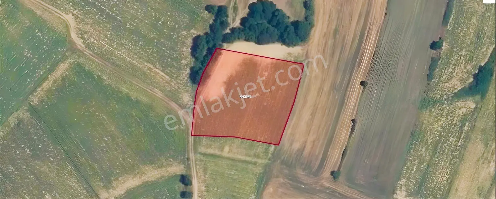 Eu Gayrimenkul'den Yola Cephe 3805 Metrekare Tarla — fotoğraf 2