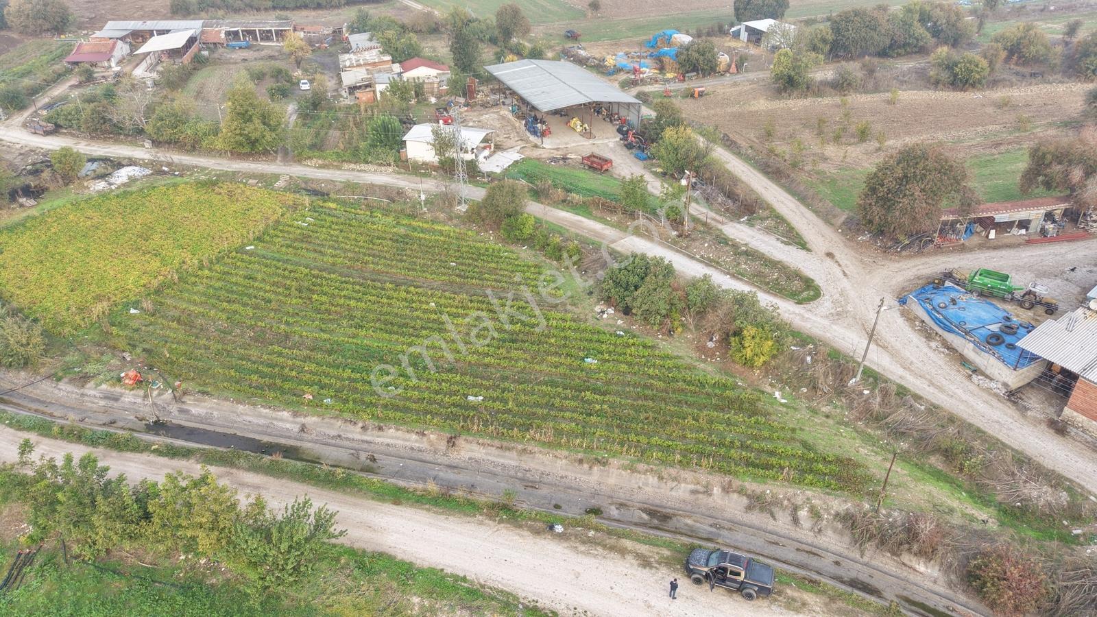 Balıkesir Altıeylül Pamukçuda Elektriği Bulunan Satılık Tarla — fotoğraf 2