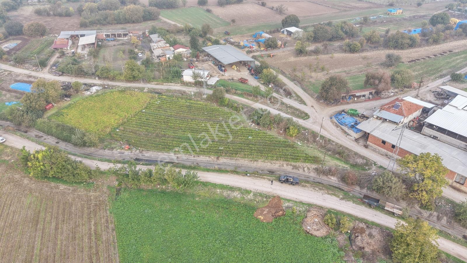Balıkesir Altıeylül Pamukçuda Elektriği Bulunan Satılık Tarla — fotoğraf 3