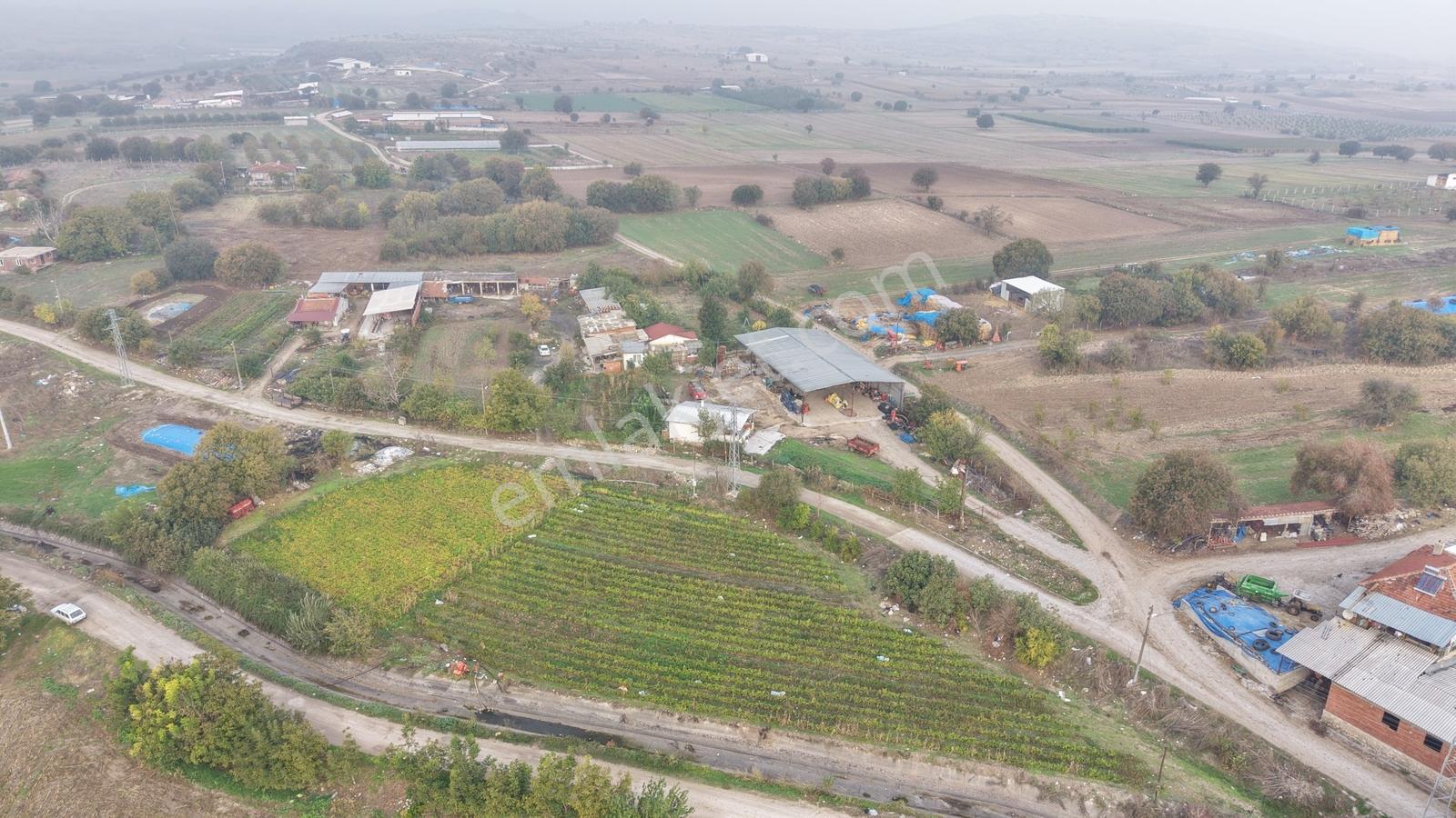 Balıkesir Altıeylül Pamukçuda Elektriği Bulunan Satılık Tarla — fotoğraf 5
