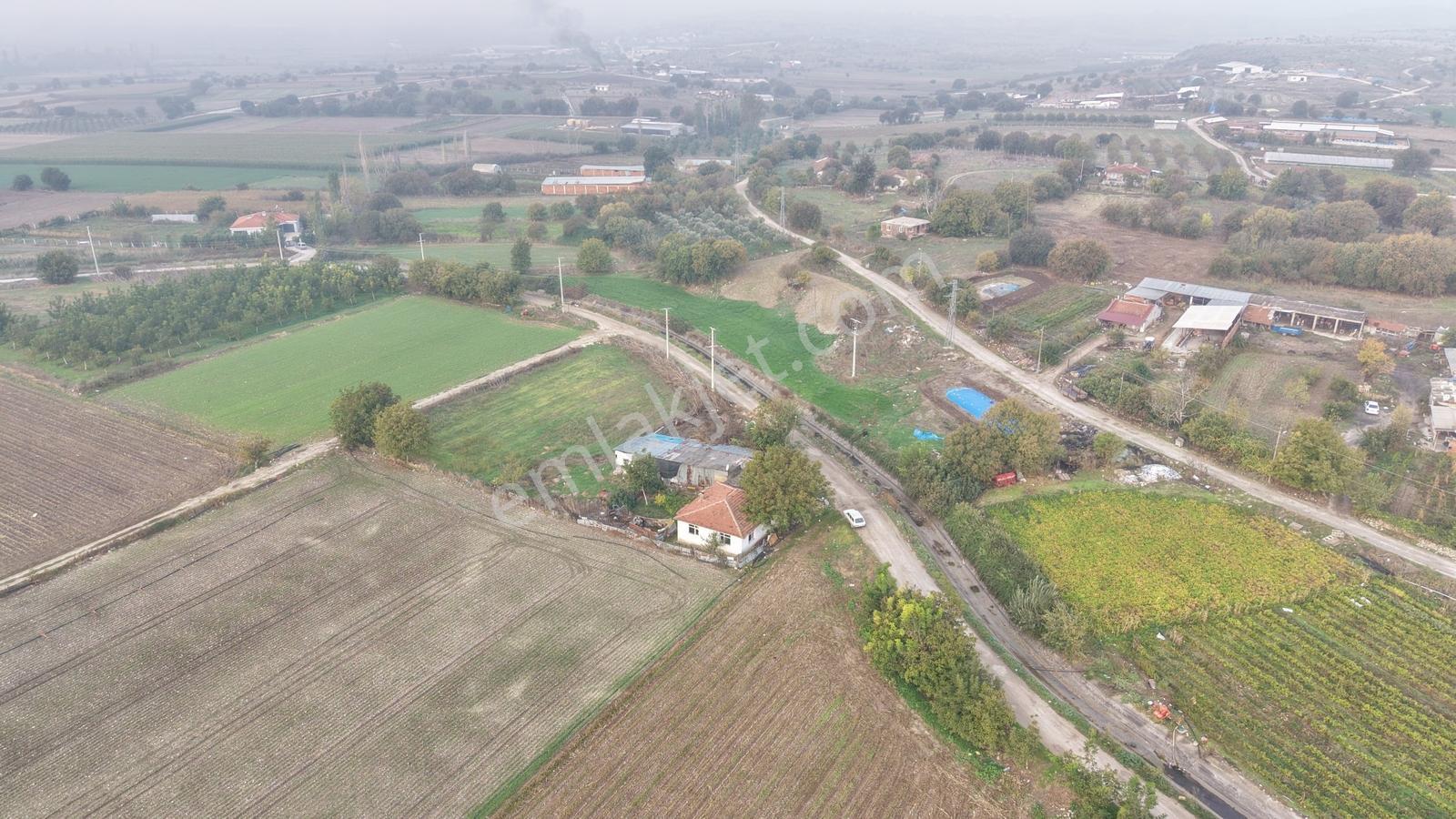 Balıkesir Altıeylül Pamukçuda Elektriği Bulunan Satılık Tarla — fotoğraf 6