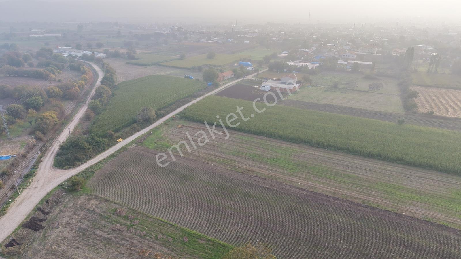 Balıkesir Altıeylül Pamukçuda Elektriği Bulunan Satılık Tarla — fotoğraf 8