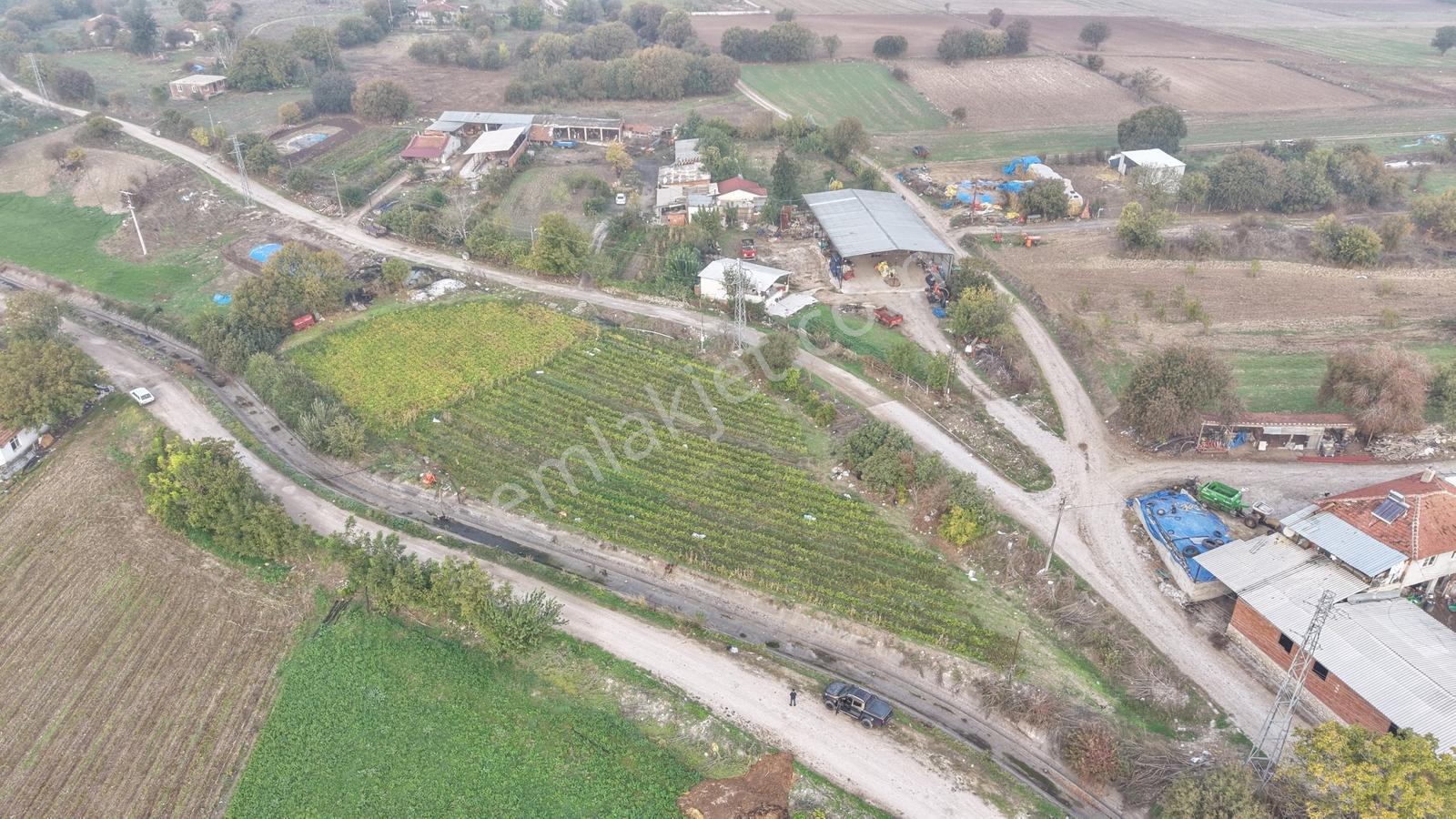 Balıkesir Altıeylül Pamukçuda Elektriği Bulunan Satılık Tarla — fotoğraf 9
