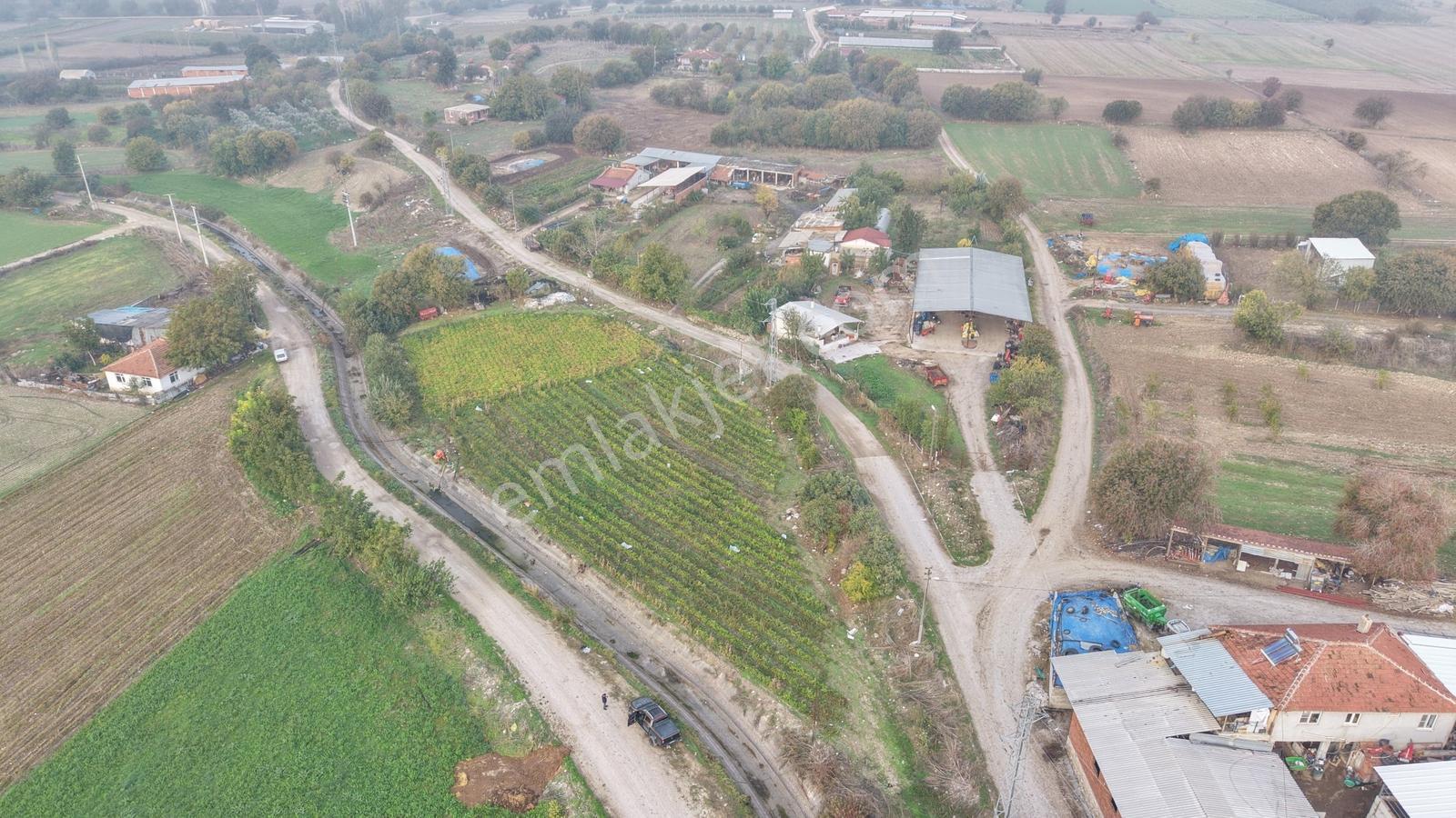 Balıkesir Altıeylül Pamukçuda Elektriği Bulunan Satılık Tarla — fotoğraf 10