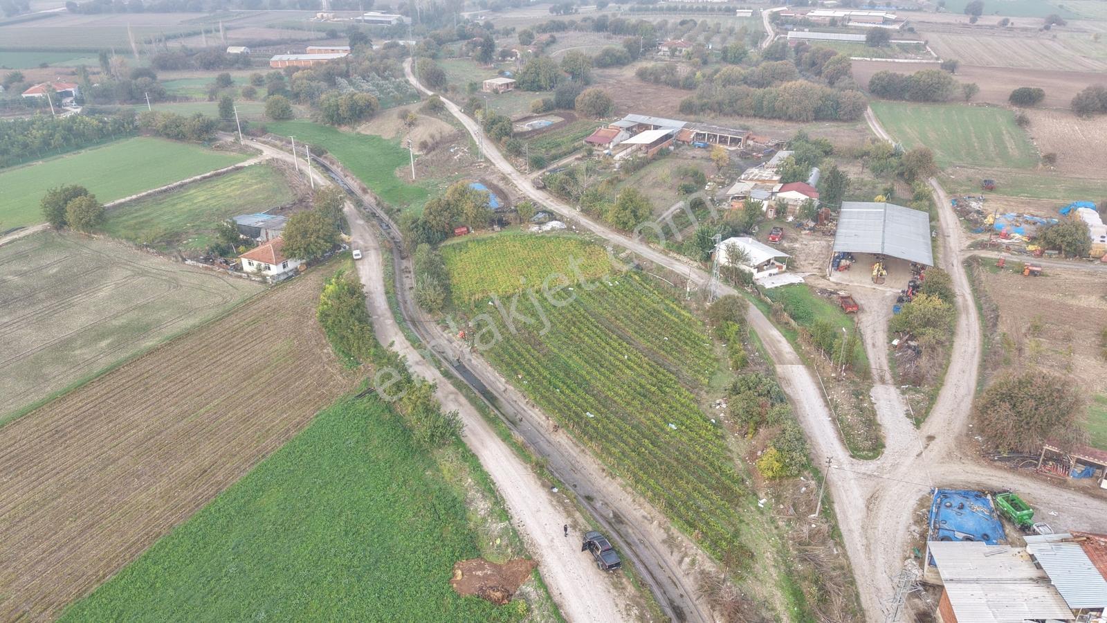 Balıkesir Altıeylül Pamukçuda Elektriği Bulunan Satılık Tarla — fotoğraf 11