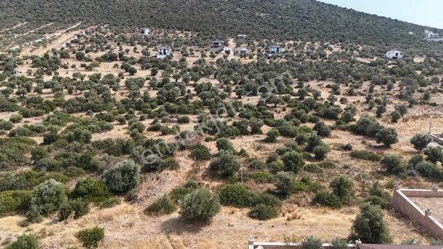 Didim Akyeniköy Zümrüttepe'de 400 M2 Satılık Arsa — fotoğraf 2