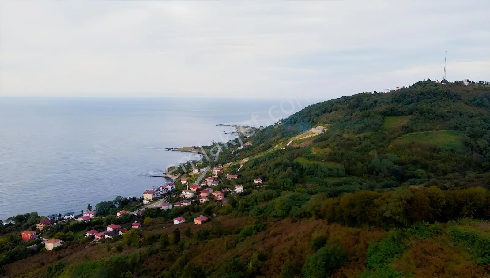 Ordu Perşembe Yason Yarımadasında Satılık 822 M² Bahçe. — fotoğraf 3
