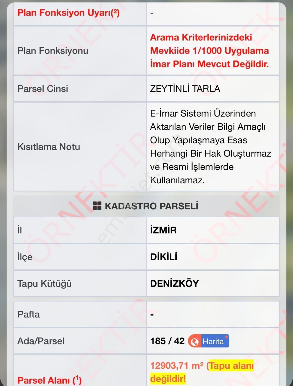 Denizköyde Kapanmaz Deniz Manzaralı Zeytinli Tarla — fotoğraf 21