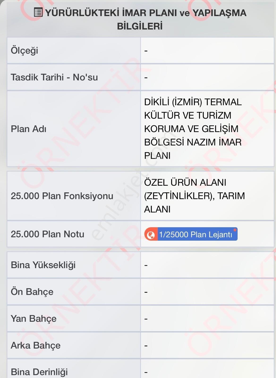 Denizköyde Kapanmaz Deniz Manzaralı Zeytinli Tarla — fotoğraf 22
