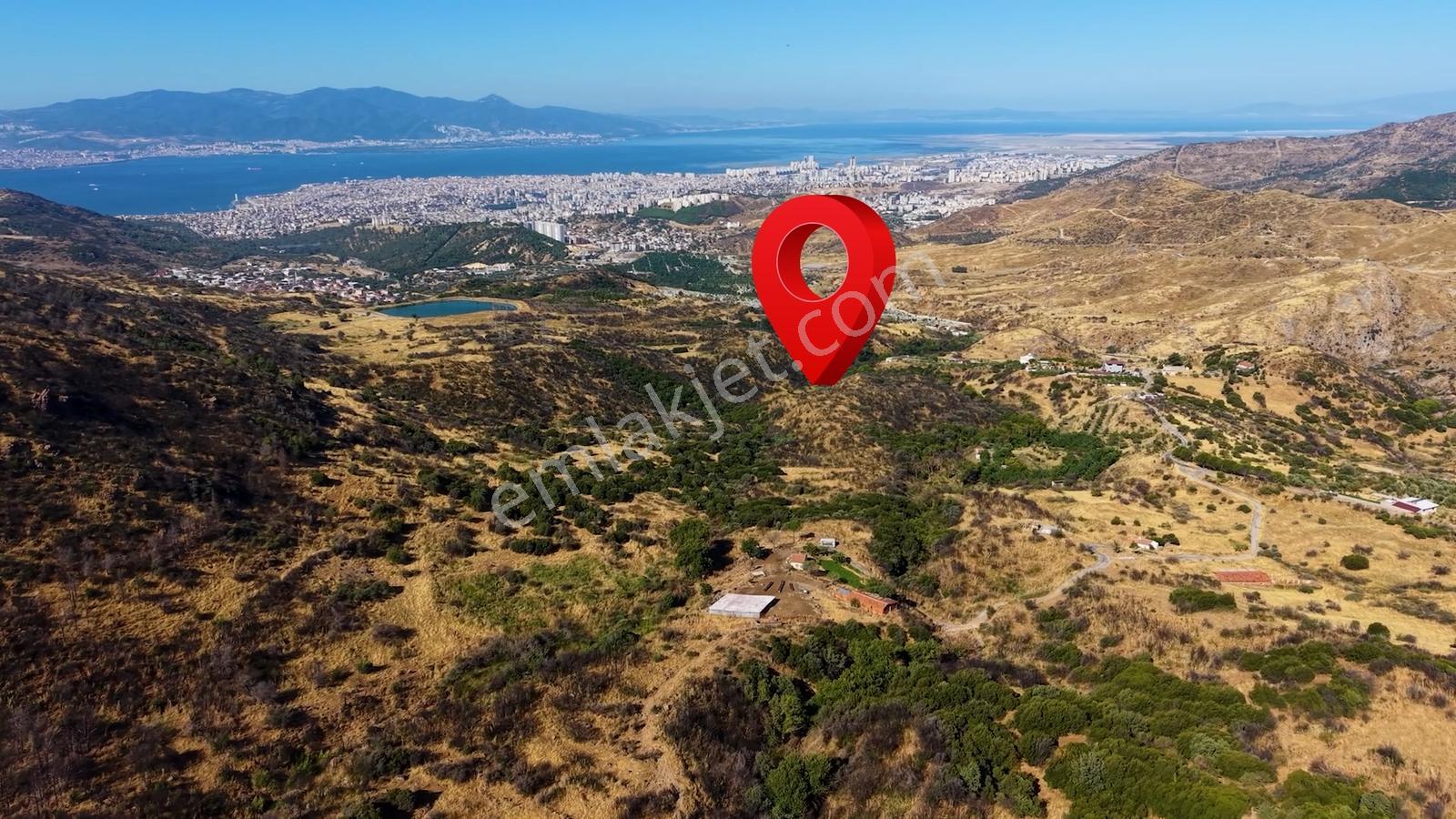 38 İzmir Bayraklı Doğançay'da Yola Cepheli 60 Dönüm Satılık Arsa — fotoğraf 12