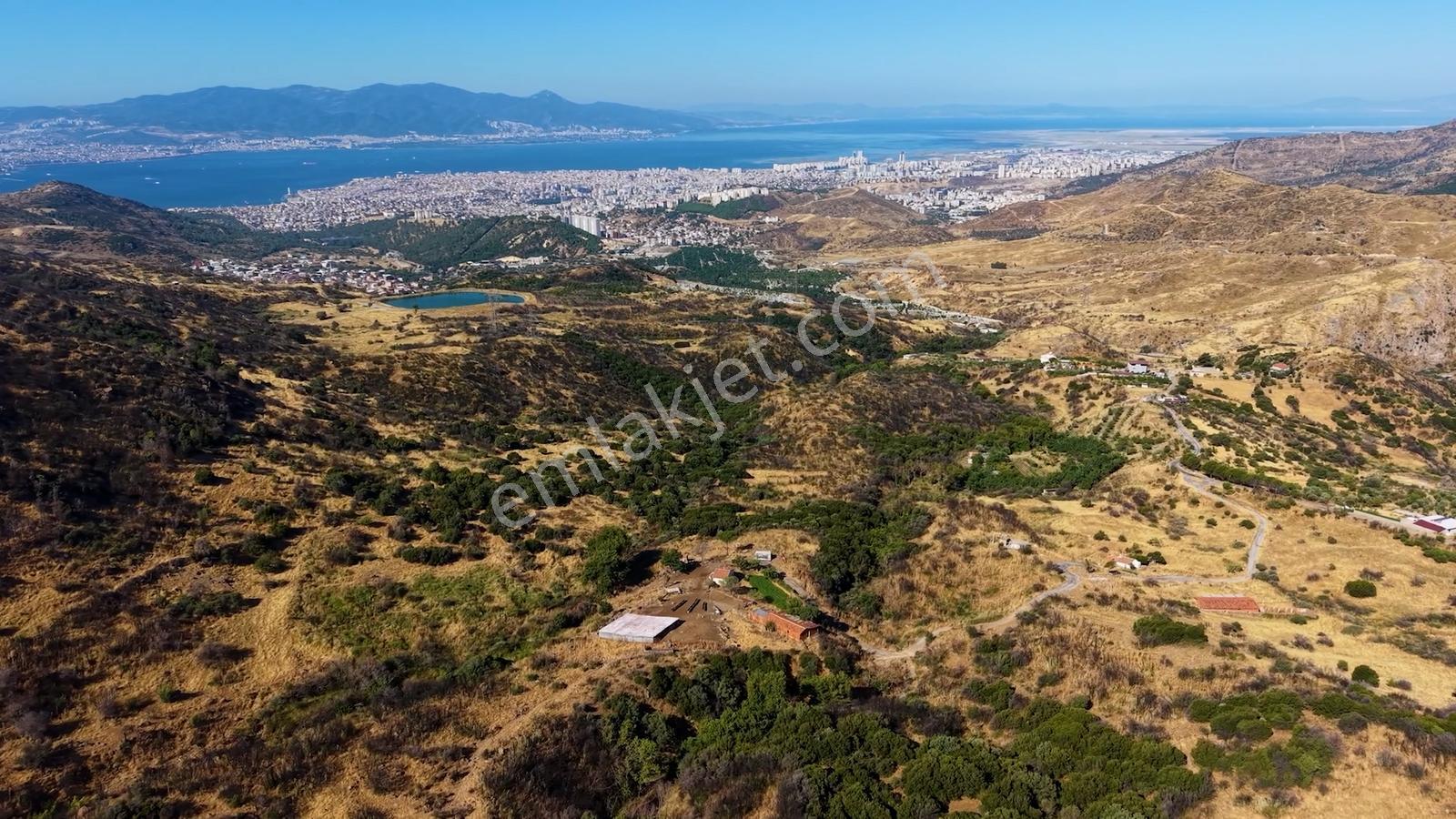 38 İzmir Bayraklı Doğançay'da Yola Cepheli 60 Dönüm Satılık Arsa — fotoğraf 13