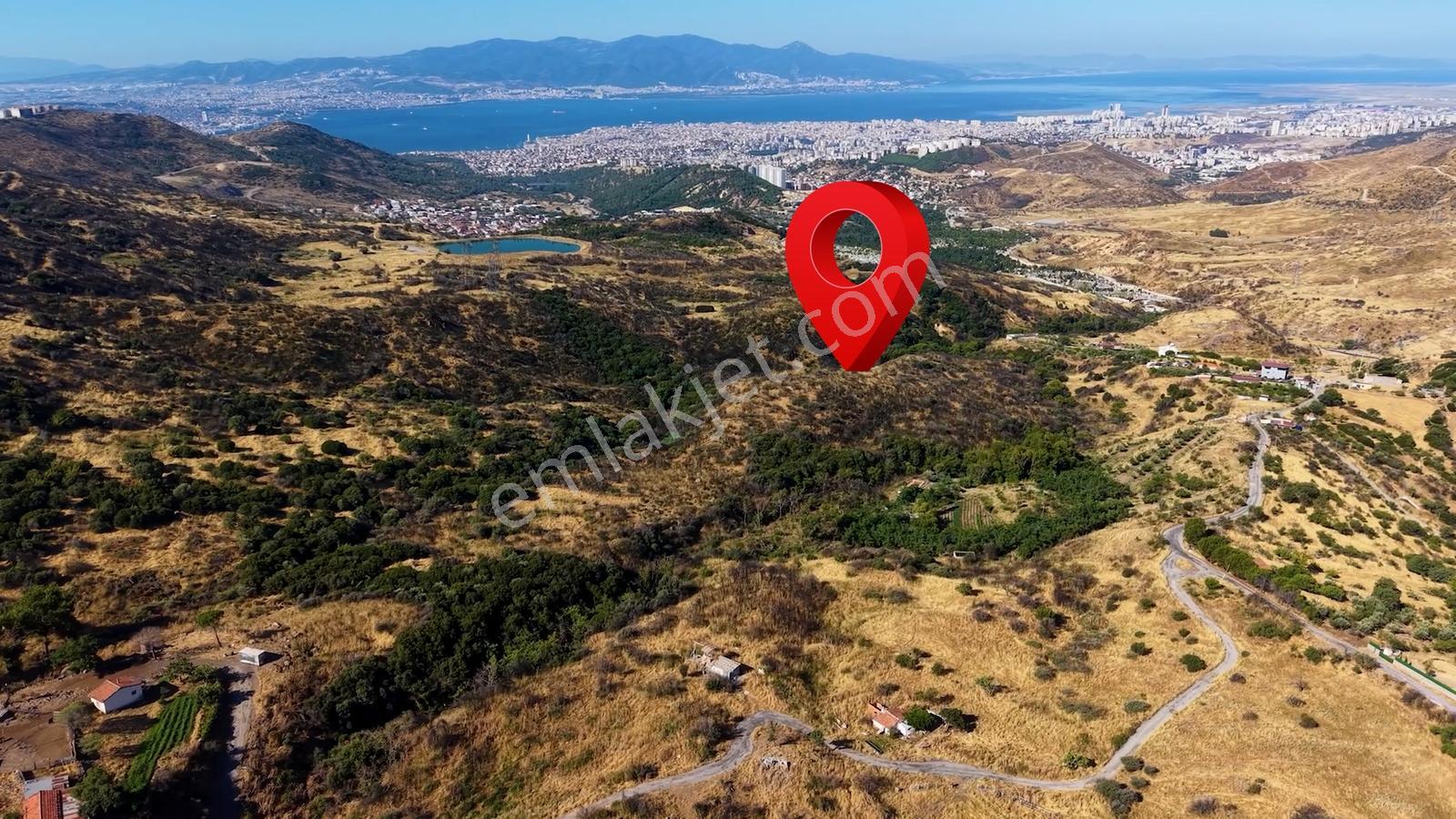 38 İzmir Bayraklı Doğançay'da Yola Cepheli 60 Dönüm Satılık Arsa — fotoğraf 14