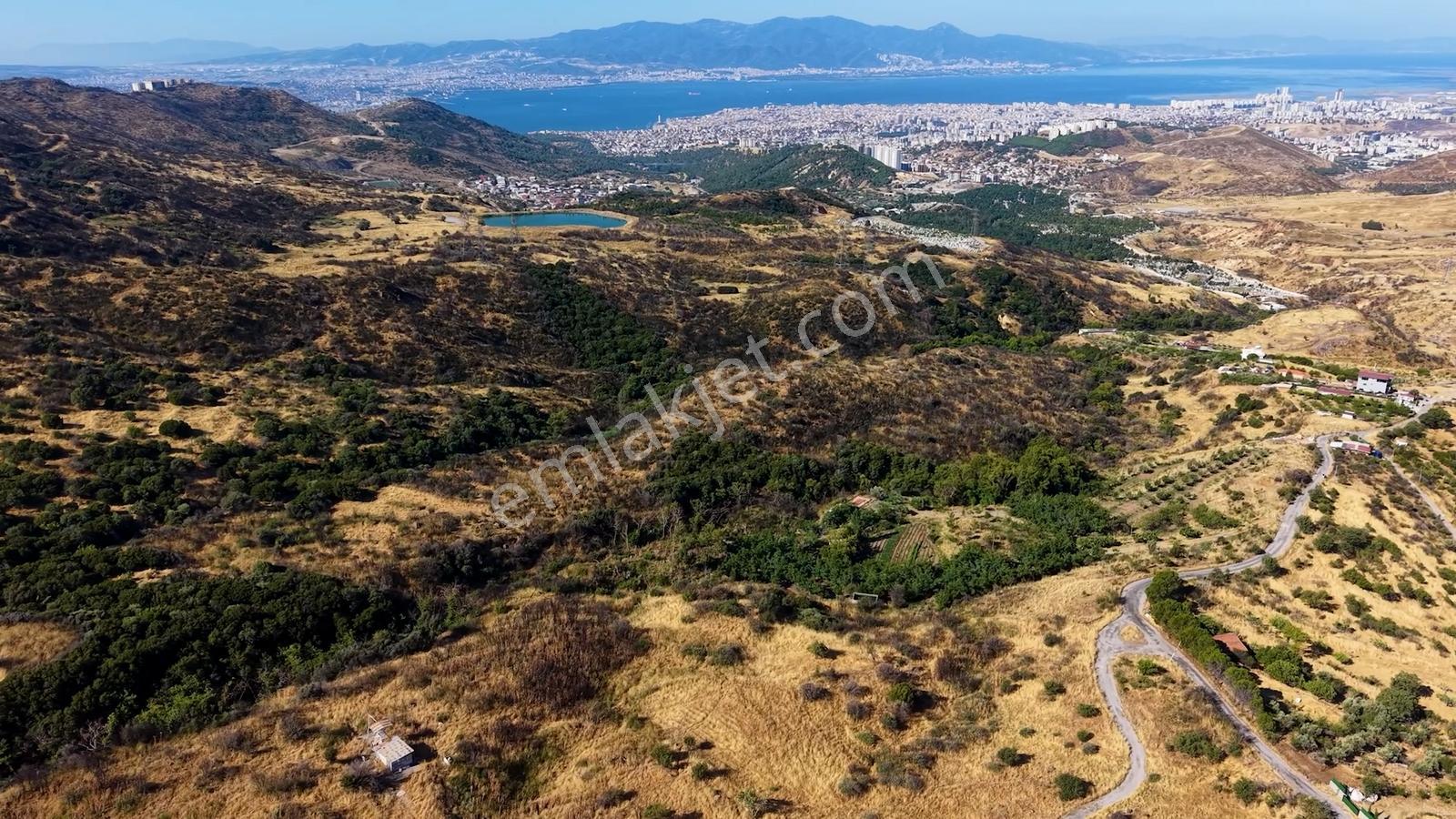 38 İzmir Bayraklı Doğançay'da Yola Cepheli 60 Dönüm Satılık Arsa — fotoğraf 15