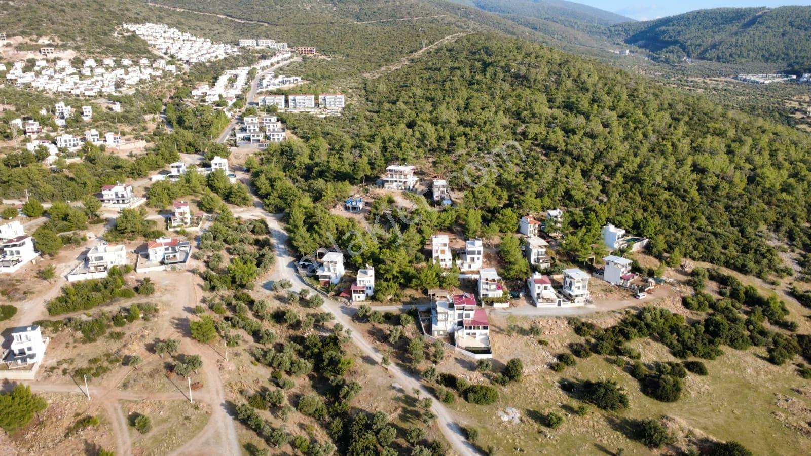 Didim Akbükte Vılla Yapılaşmasına Uygun Arsa — fotoğraf 14
