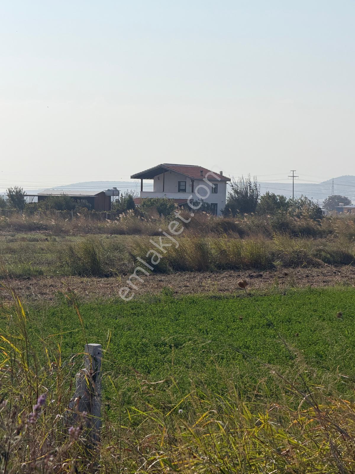 Türkelli Satılık Tarla Fırsatı — fotoğraf 3
