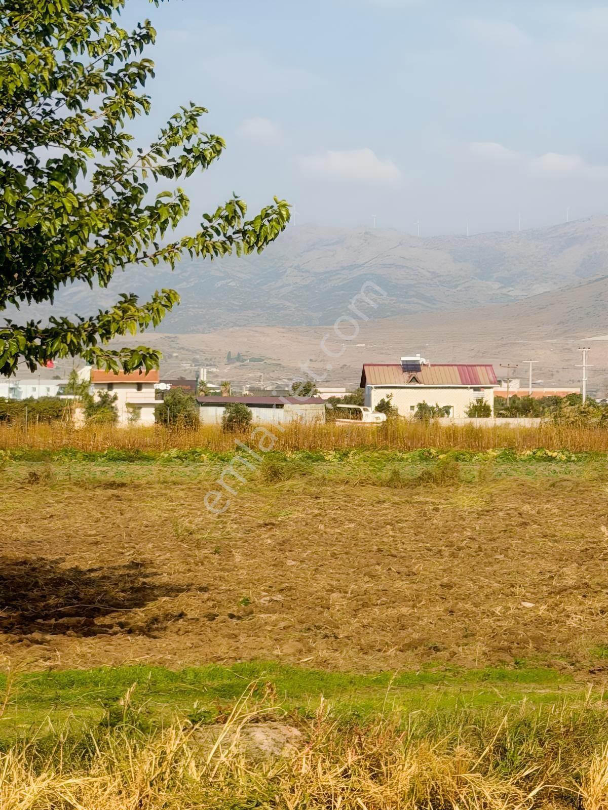 Türkelli Satılık Tarla Fırsatı — fotoğraf 4