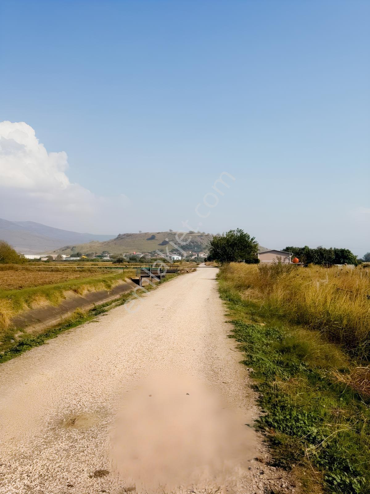 Türkelli Satılık Tarla Fırsatı — fotoğraf 5