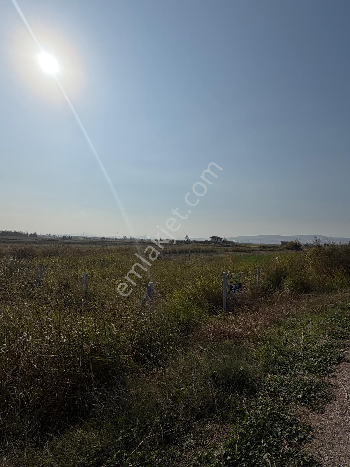 Türkelli Satılık Tarla Fırsatı — fotoğraf 8