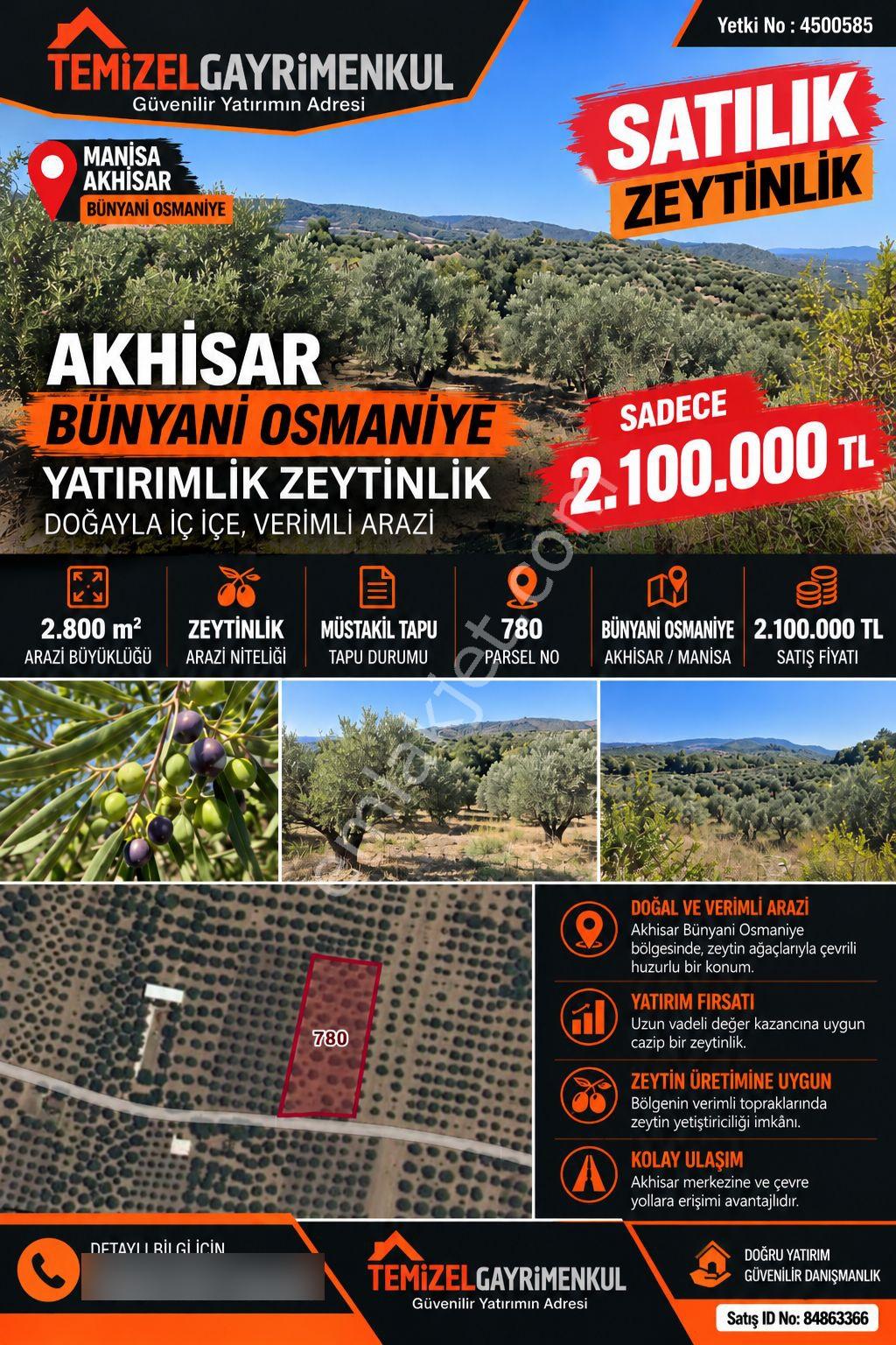 Akhisar Bünyani Osmaniye'De 2.800 M² Satılık Zeytinlik – Yatırım Fırsatı!