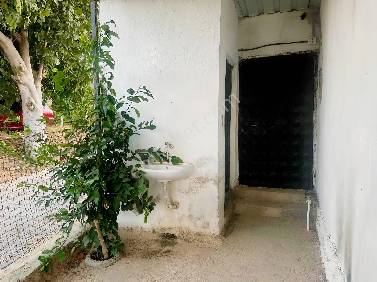 Belenyaka'da Badem, Ceviz Ve Zeytin Ağaçlarının Bulunduğu Tarla — fotoğraf 5