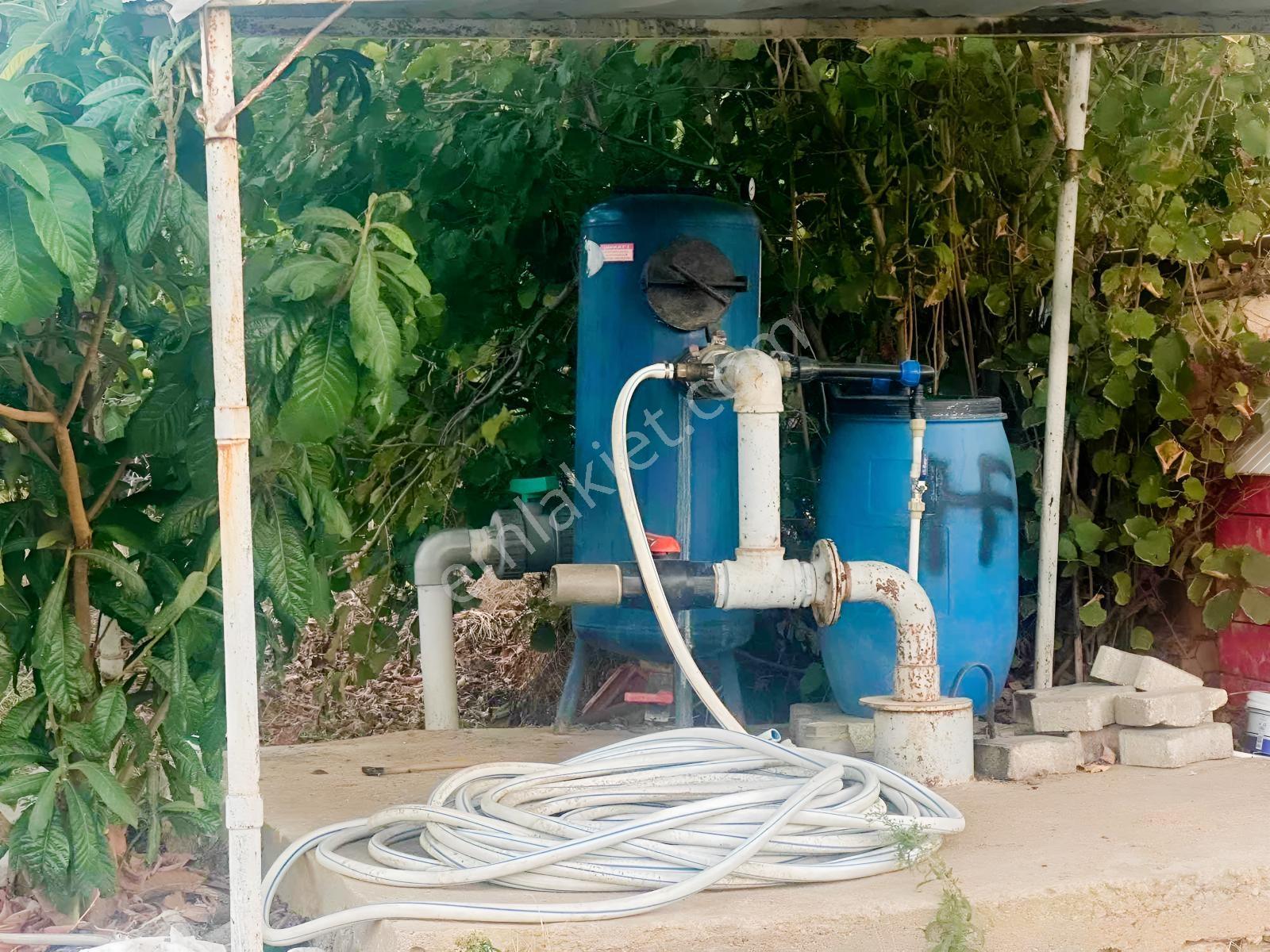 Belenyaka'da Badem, Ceviz Ve Zeytin Ağaçlarının Bulunduğu Tarla — fotoğraf 7