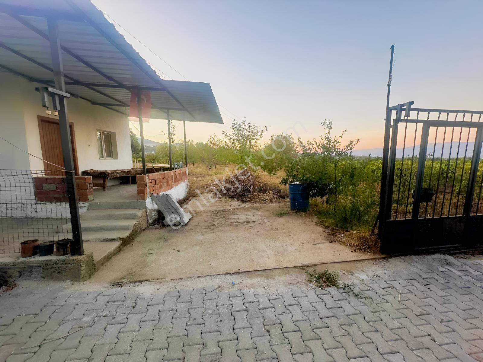 Belenyaka'da Badem, Ceviz Ve Zeytin Ağaçlarının Bulunduğu Tarla — fotoğraf 8