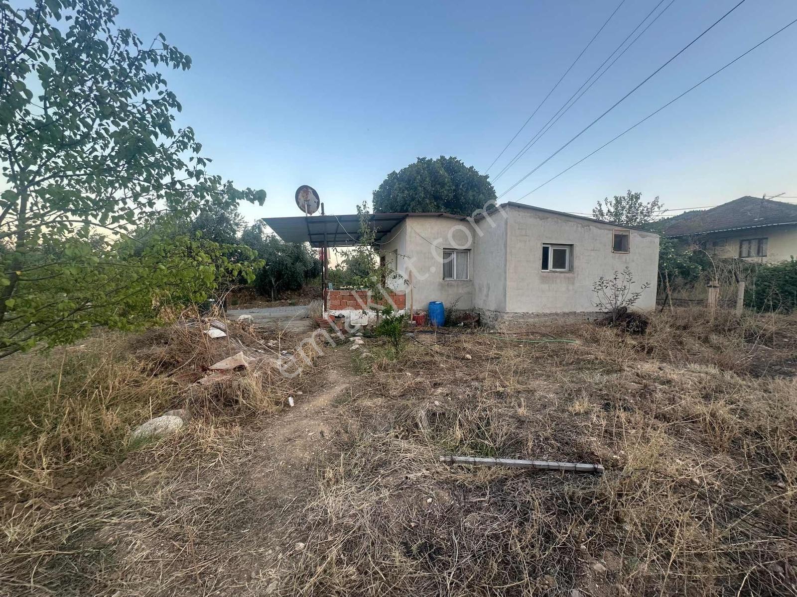 Belenyaka'da Badem, Ceviz Ve Zeytin Ağaçlarının Bulunduğu Tarla — fotoğraf 11