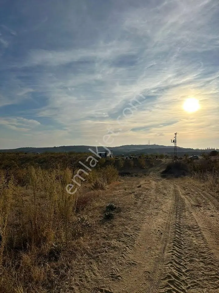 Tc Emlaktan Satılık Toplam 202 Dönüm Arazi ! — fotoğraf 13