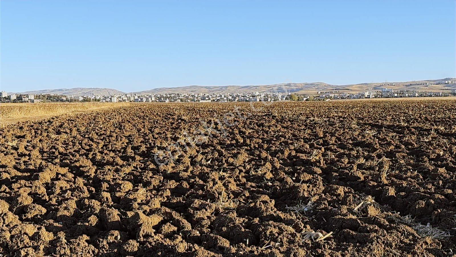 Çok Acil Yatırımlık Satılık Arsa — fotoğraf 5