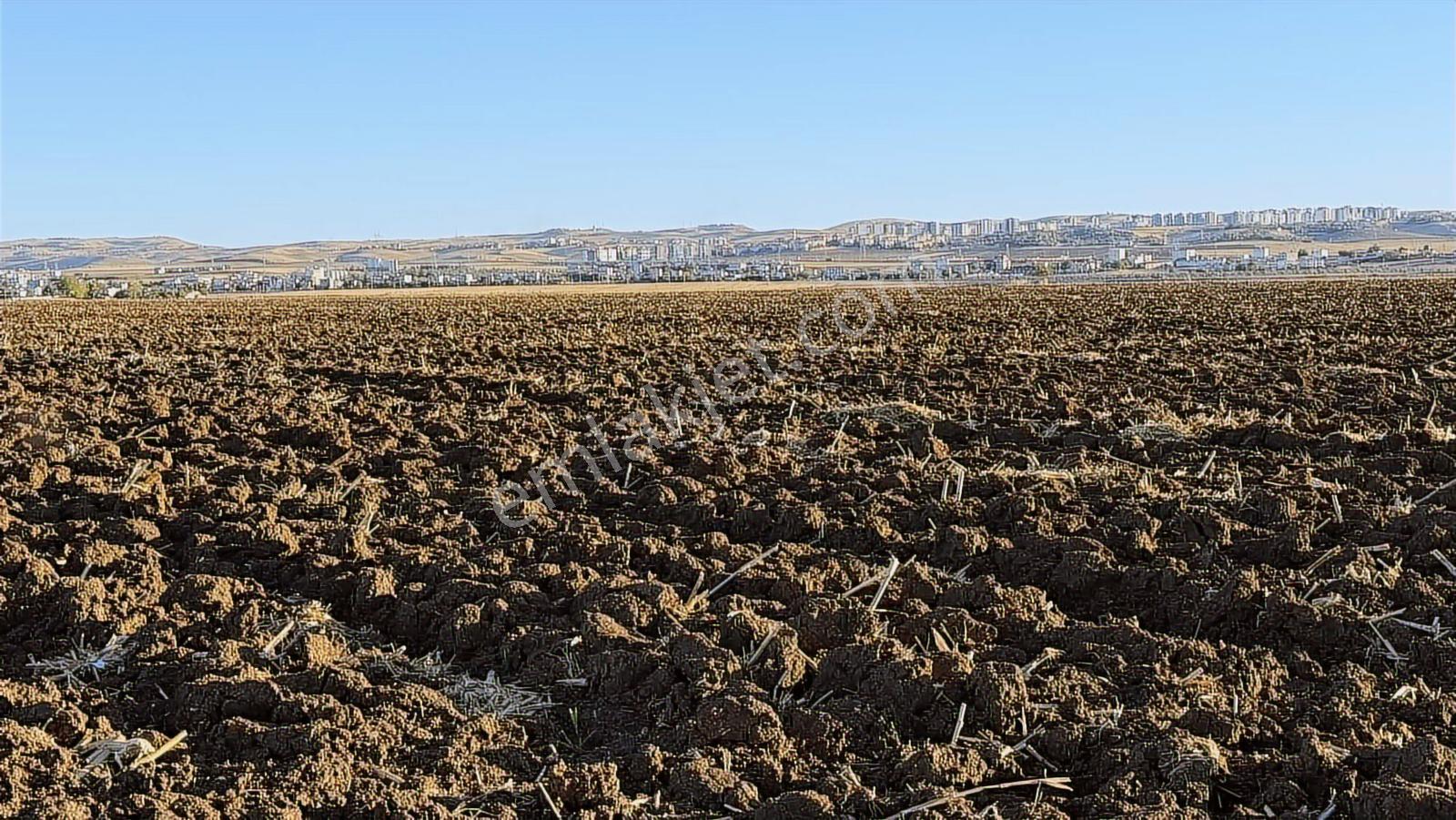 Çok Acil Yatırımlık Satılık Arsa — fotoğraf 6