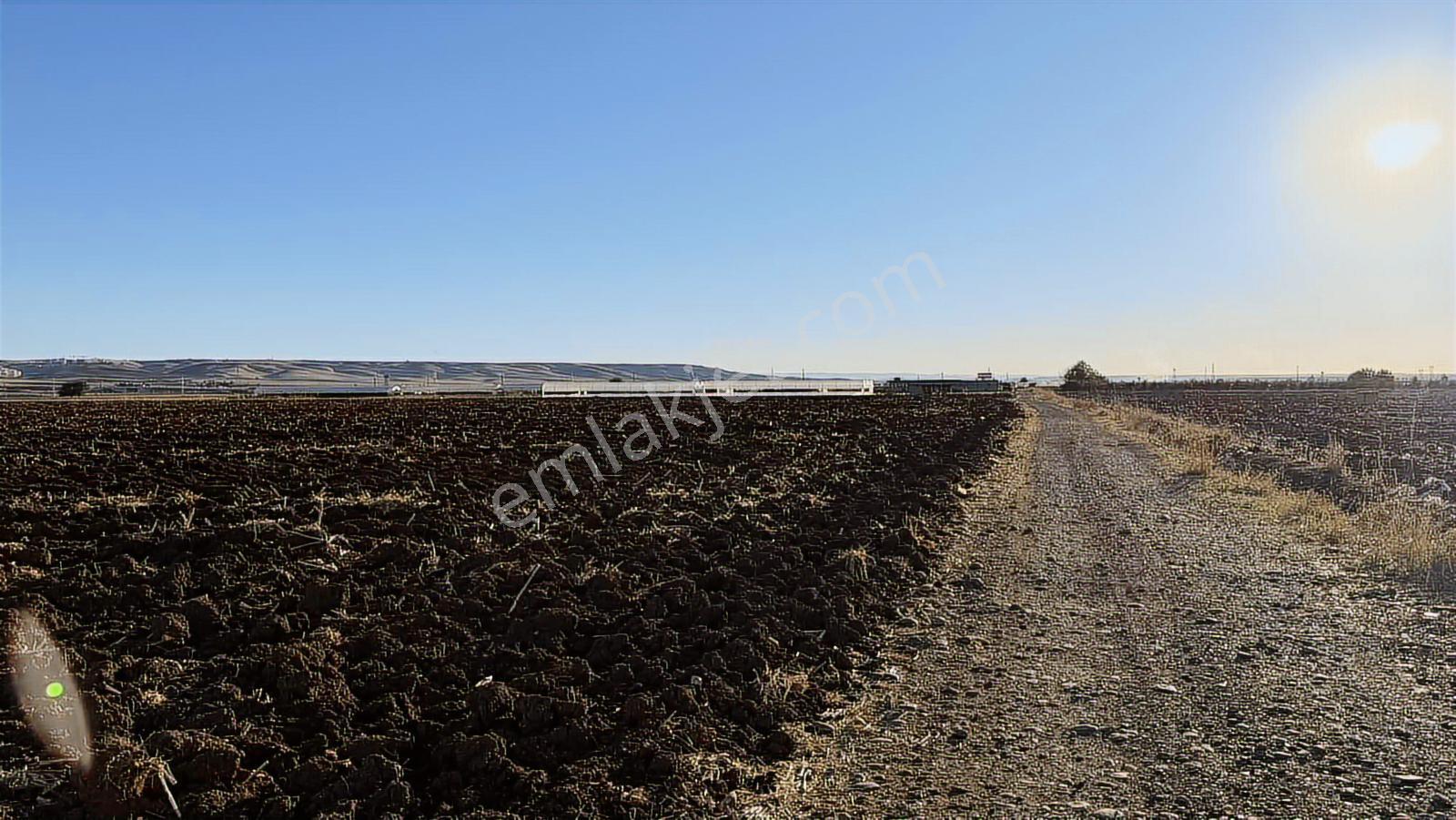 Çok Acil Yatırımlık Satılık Arsa — fotoğraf 7