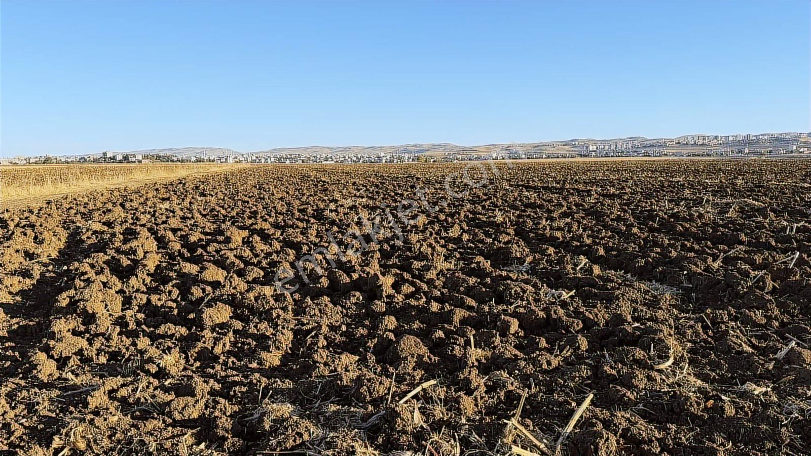 Çok Acil Yatırımlık Satılık Arsa — fotoğraf 8