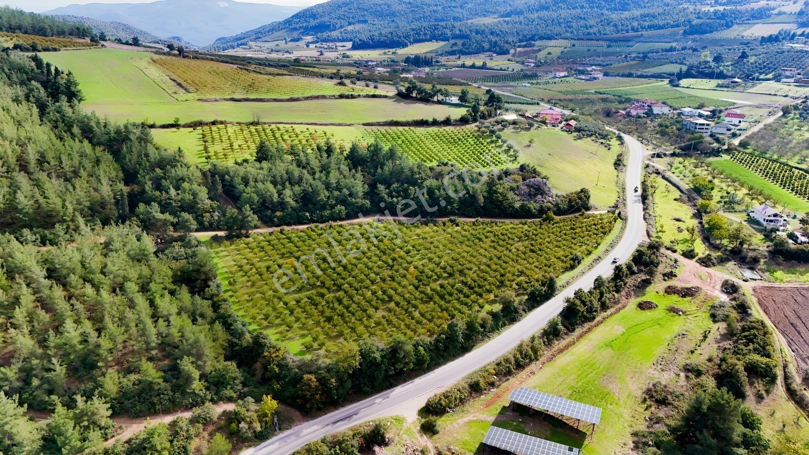 Expertten Bilecik Osmaneli Akçapınarda Satılık 9.000 M² Arazi!