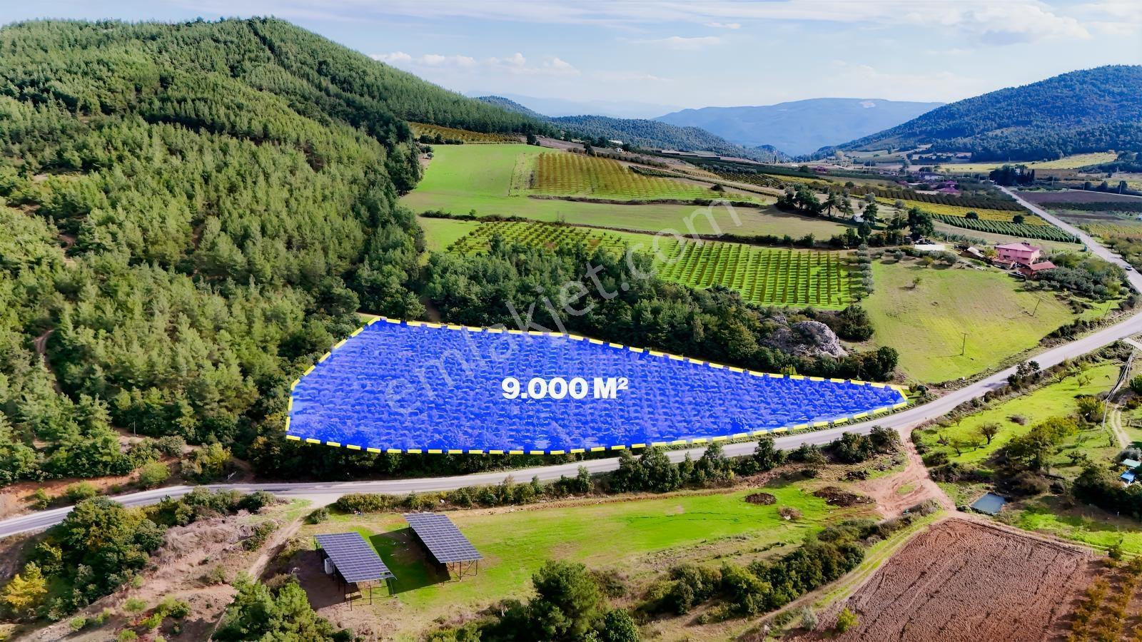 Expertten Bilecik Osmaneli Akçapınarda Satılık 9.000 M² Arazi! — fotoğraf 4