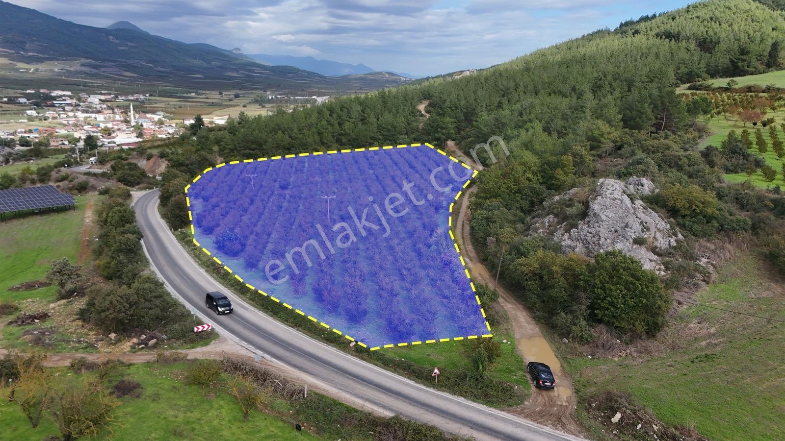Expertten Bilecik Osmaneli Akçapınarda Satılık 9.000 M² Arazi! — fotoğraf 5
