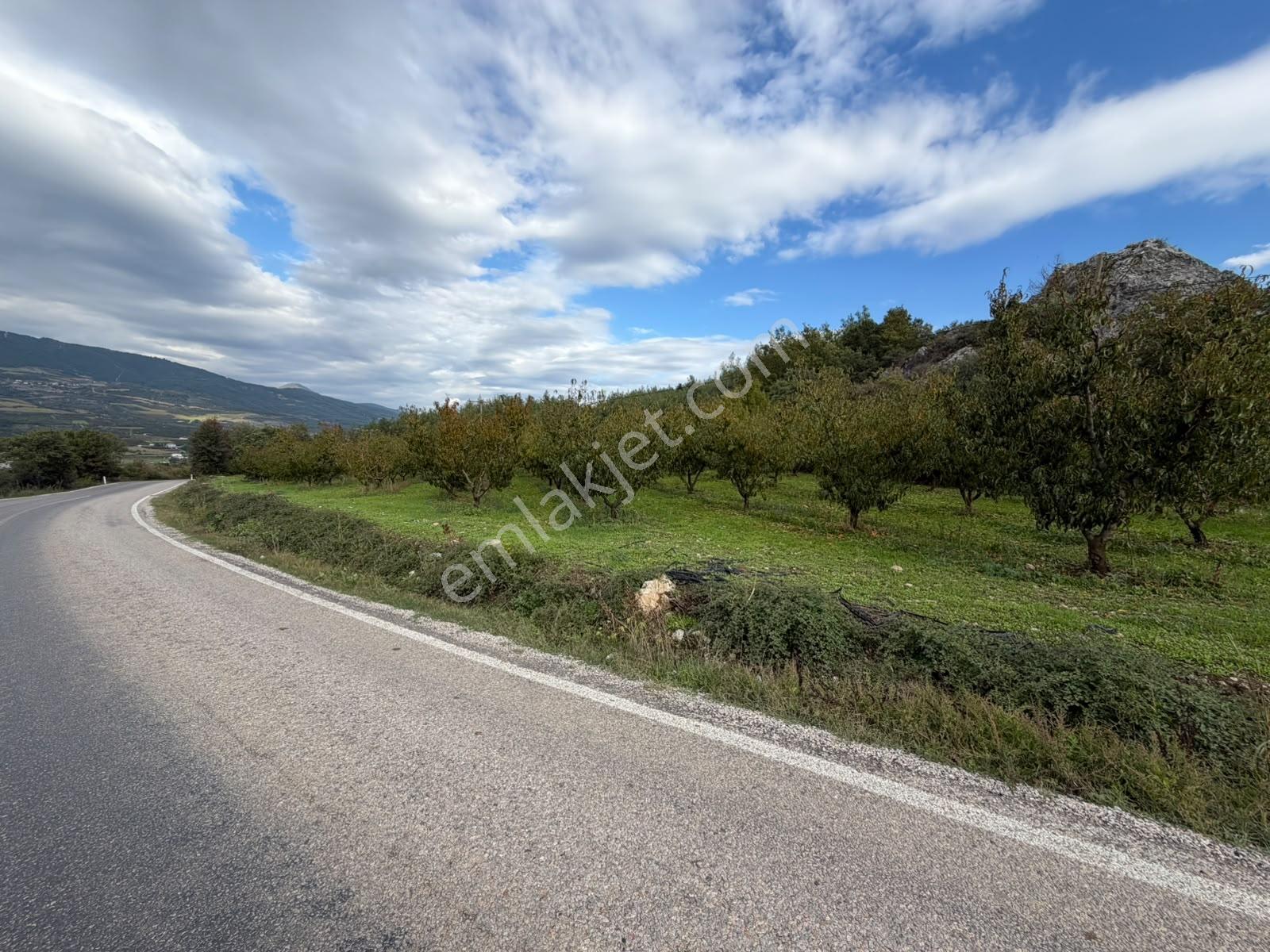 Expertten Bilecik Osmaneli Akçapınarda Satılık 9.000 M² Arazi! — fotoğraf 9