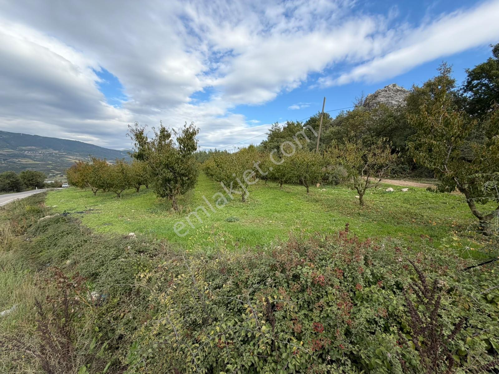 Expertten Bilecik Osmaneli Akçapınarda Satılık 9.000 M² Arazi! — fotoğraf 10