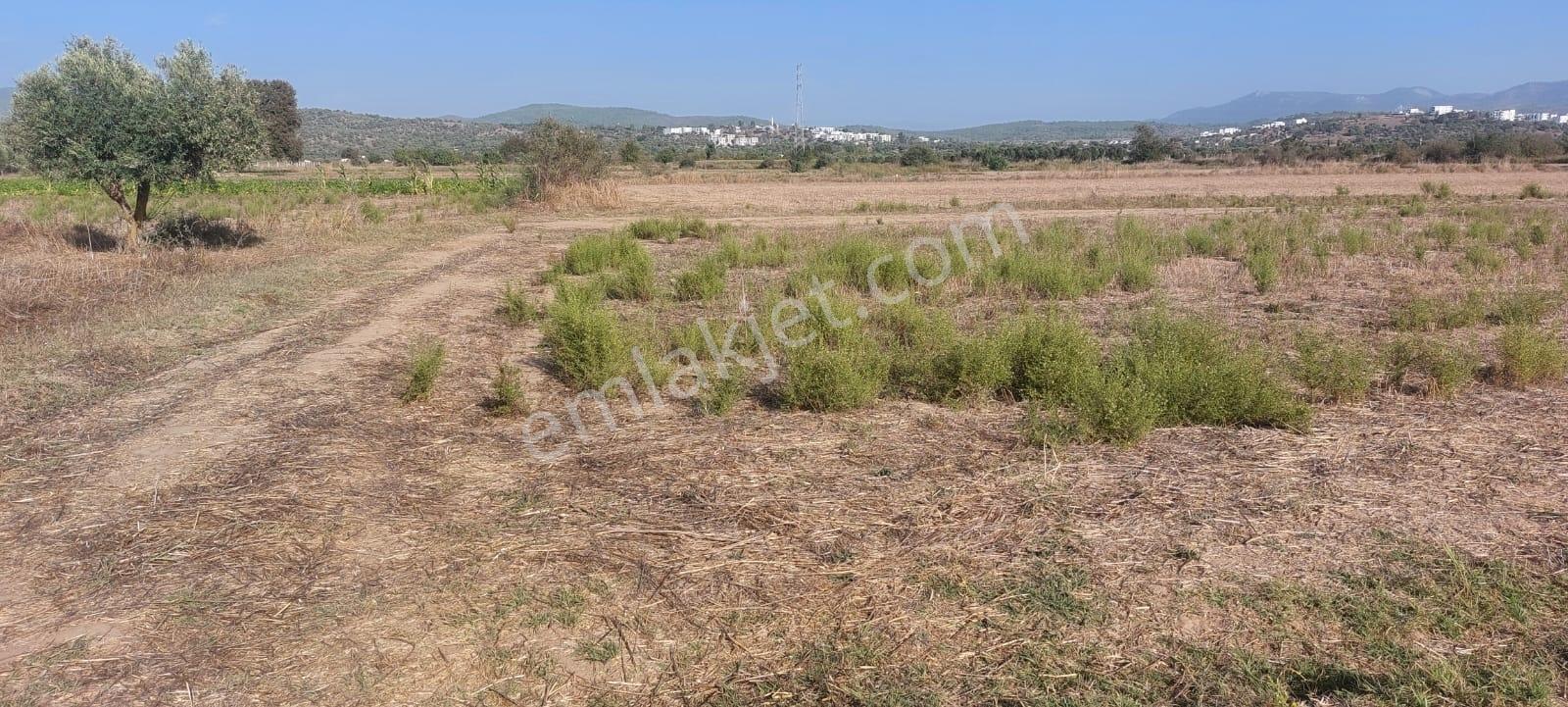 Mumcular'da Ana Yola Yakın 1213 M2 Tarla — fotoğraf 3