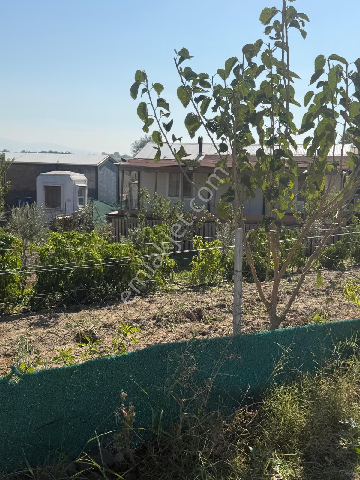 Menemen Türkeli'de Fırsat Tarla — fotoğraf 9