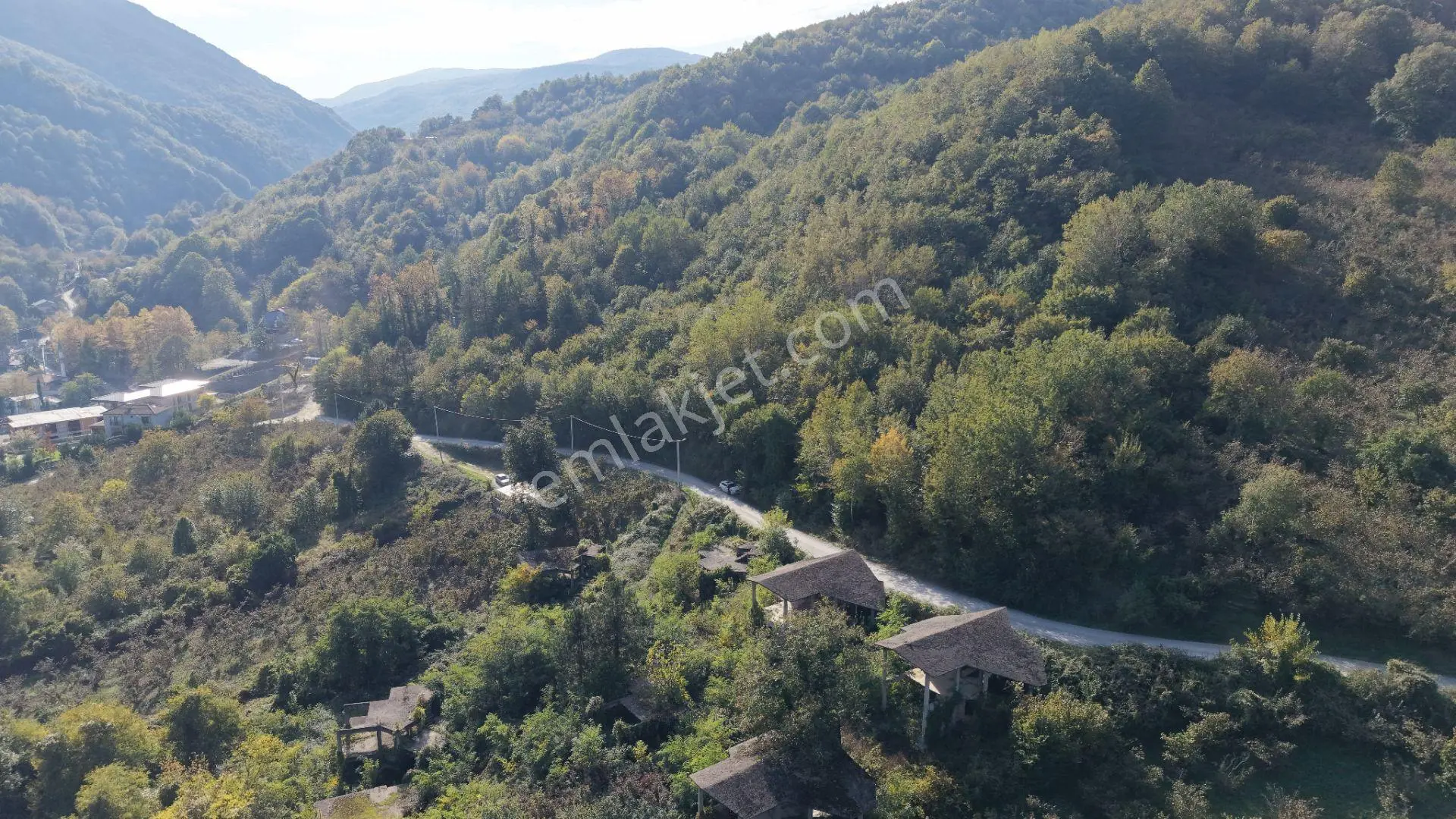Sapanca Fevziyede Satılık 13.823 M2 Fındık Bahçesi