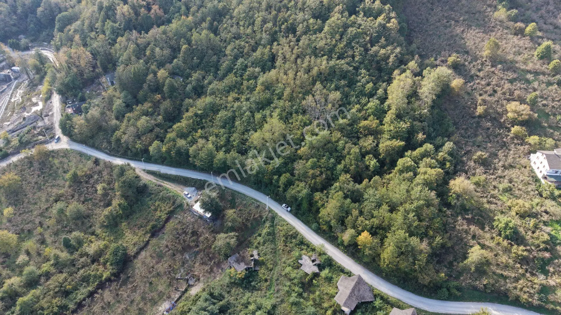 Sapanca Fevziyede Satılık 13.823 M2 Fındık Bahçesi — fotoğraf 3