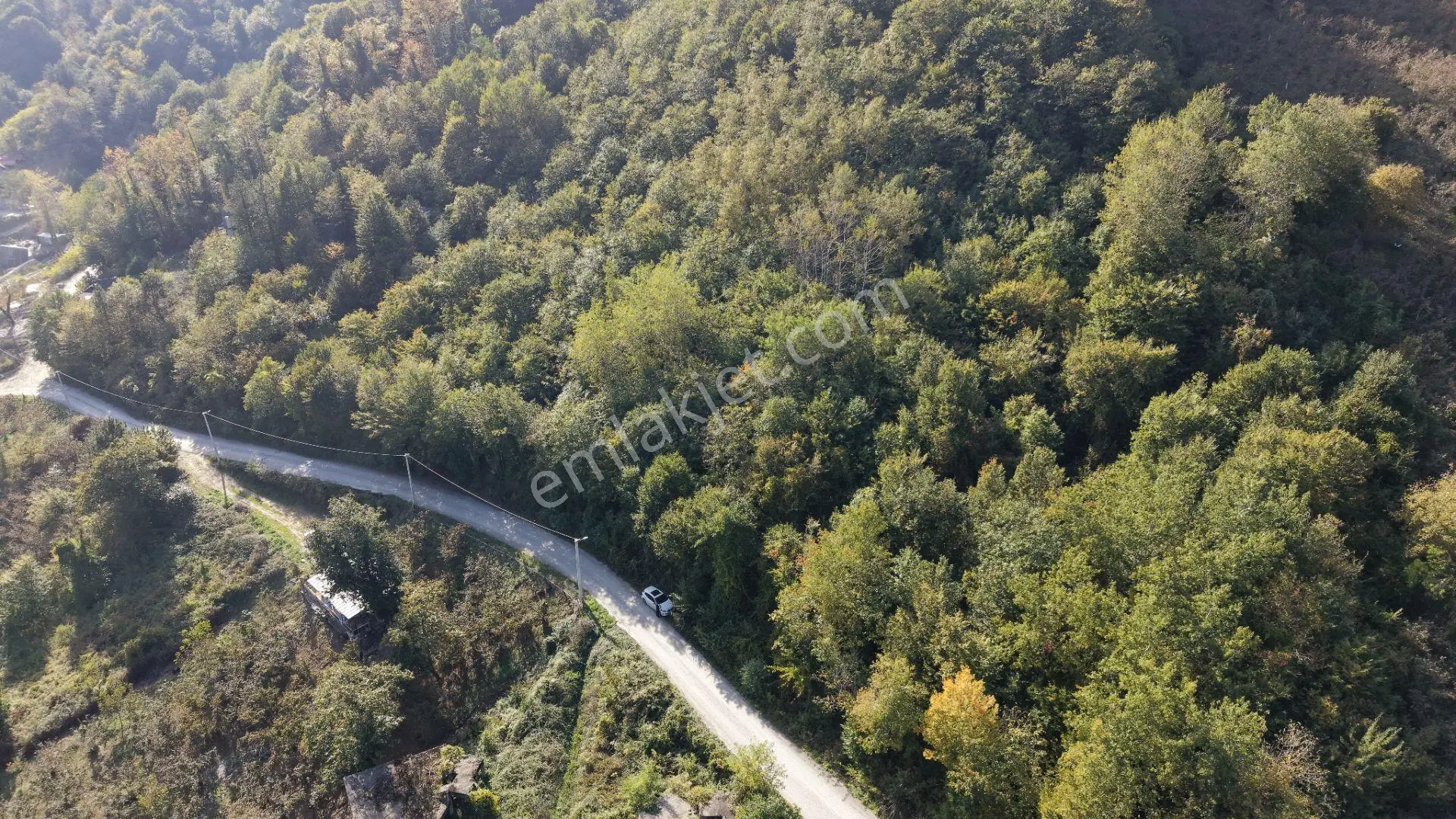 Sapanca Fevziyede Satılık 13.823 M2 Fındık Bahçesi — fotoğraf 5