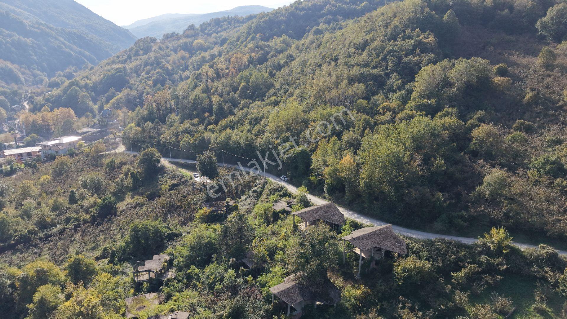 Sapanca Fevziyede Satılık 13.823 M2 Fındık Bahçesi — fotoğraf 8