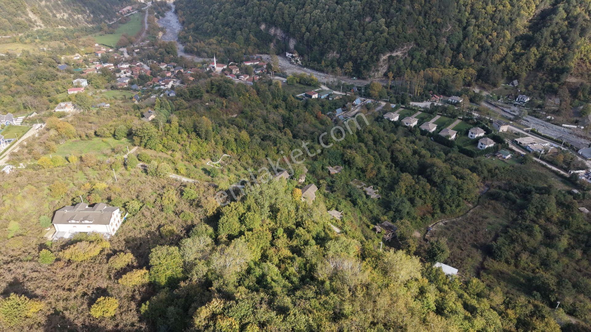 Sapanca Fevziyede Satılık 13.823 M2 Fındık Bahçesi — fotoğraf 11