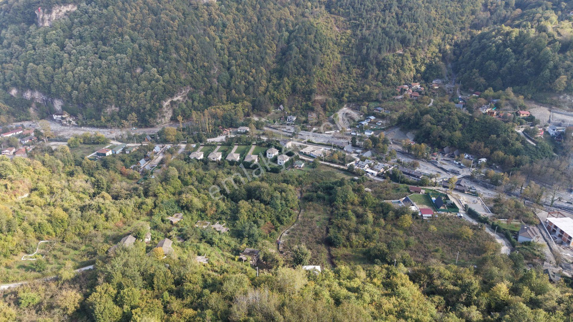 Sapanca Fevziyede Satılık 13.823 M2 Fındık Bahçesi — fotoğraf 12