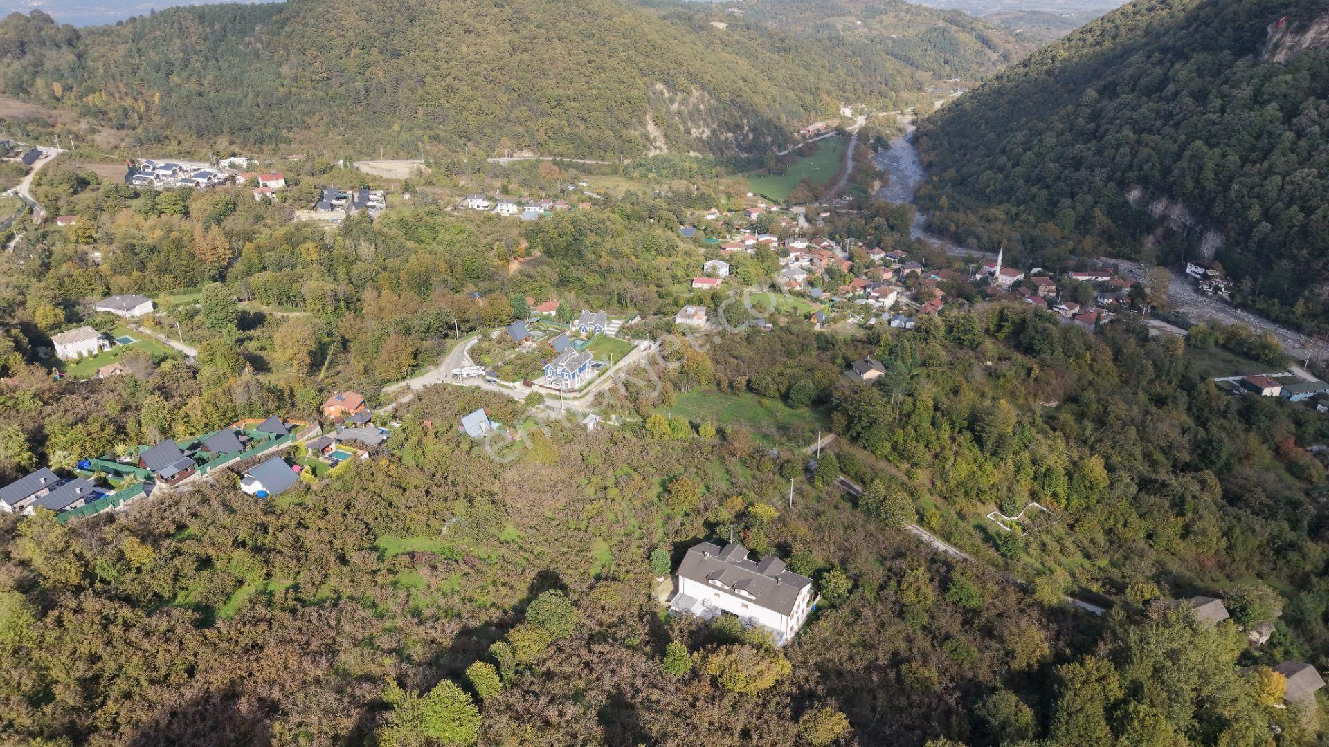 Sapanca Fevziyede Satılık 13.823 M2 Fındık Bahçesi — fotoğraf 15