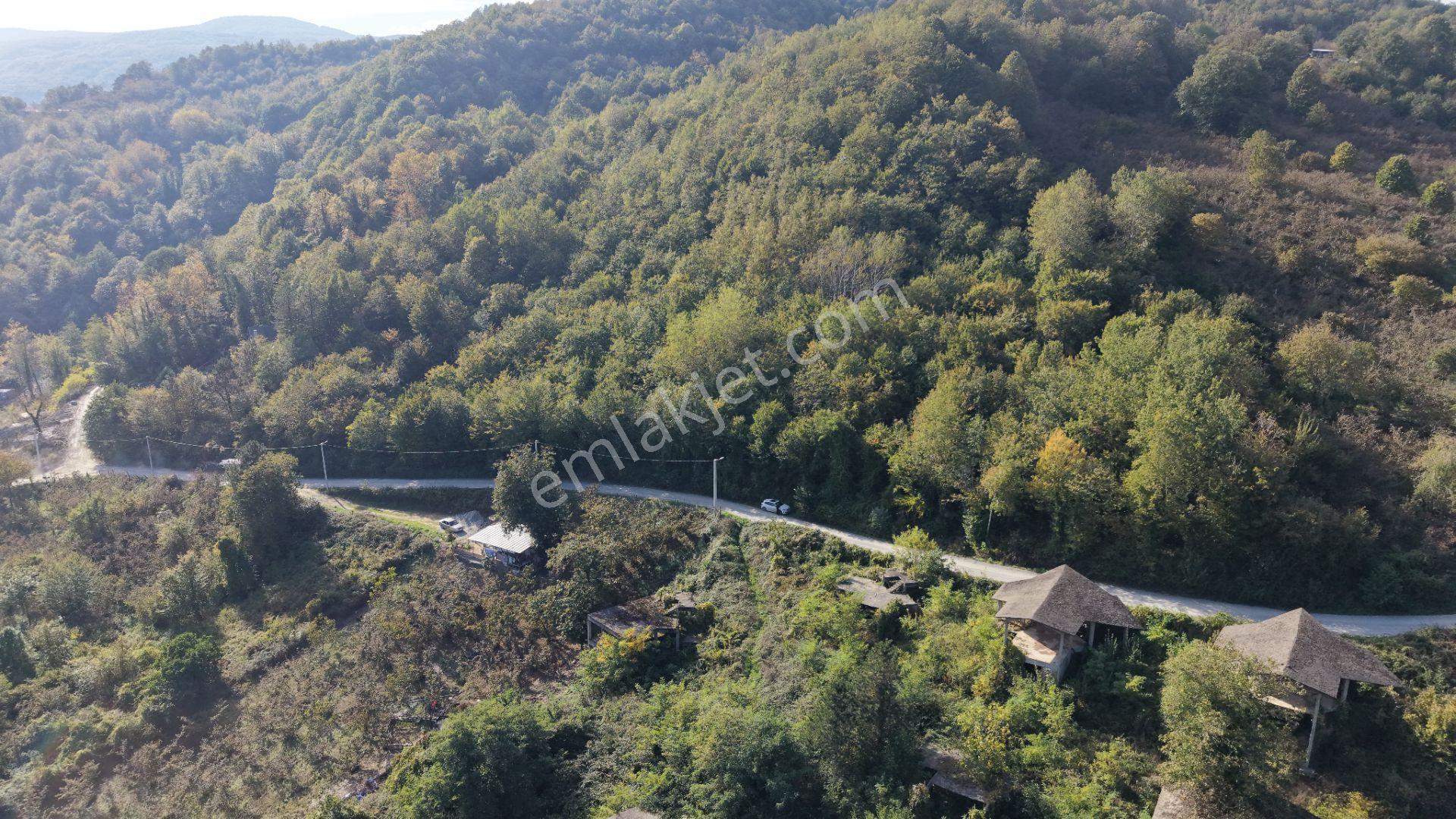 Sapanca Fevziyede Satılık 13.823 M2 Fındık Bahçesi — fotoğraf 16