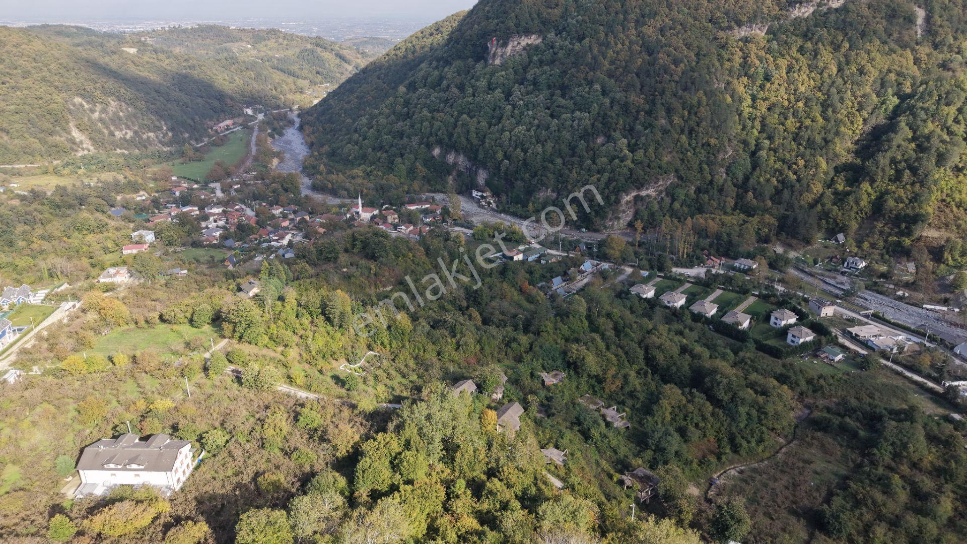Sapanca Fevziyede Satılık 13.823 M2 Fındık Bahçesi — fotoğraf 18